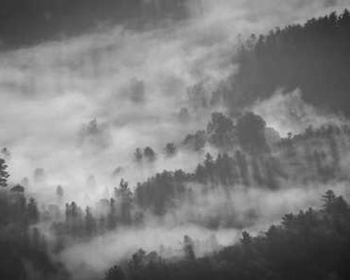 AI and the human mind: only one is a black box